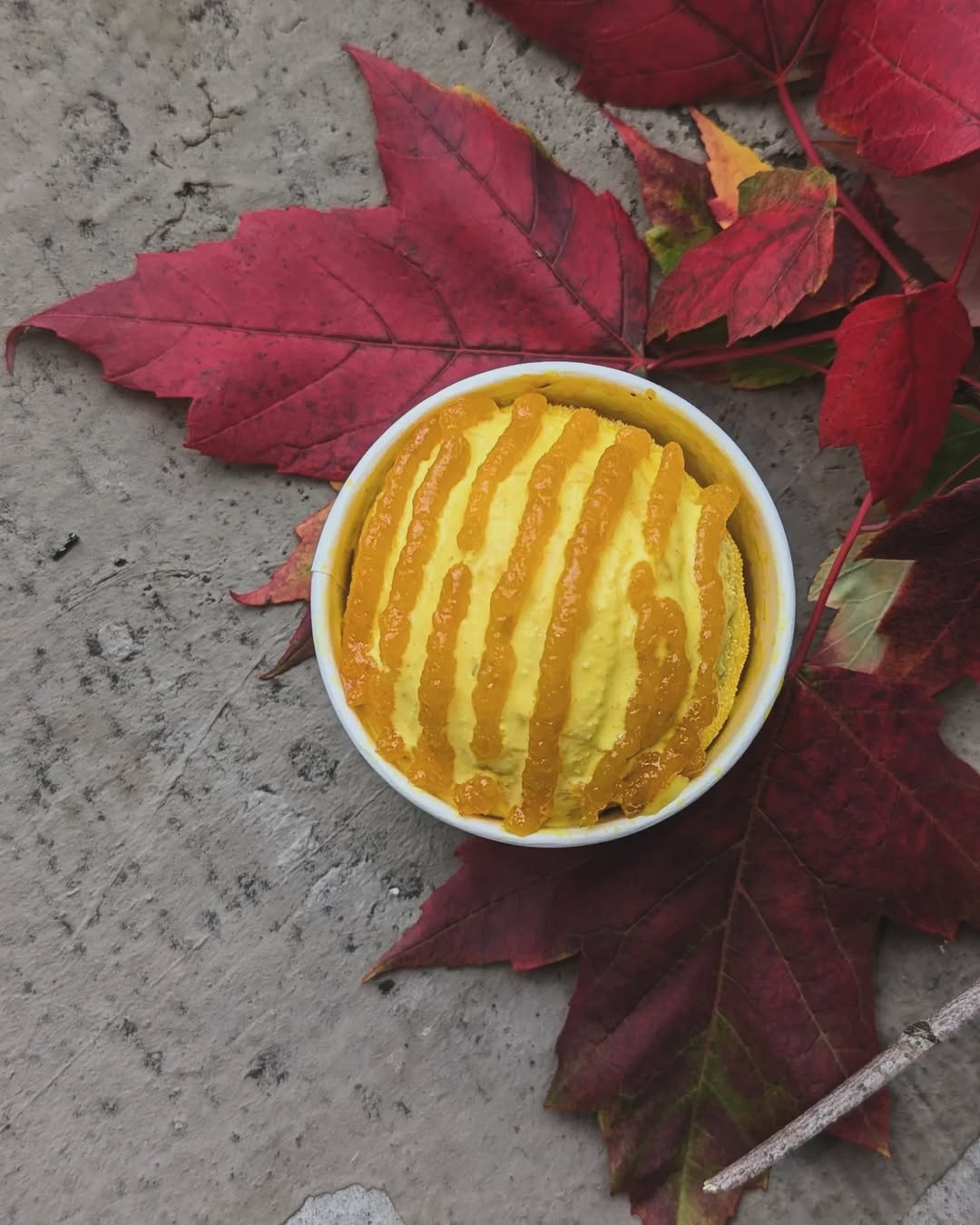 Ice cream in a cup with red autumn leaves