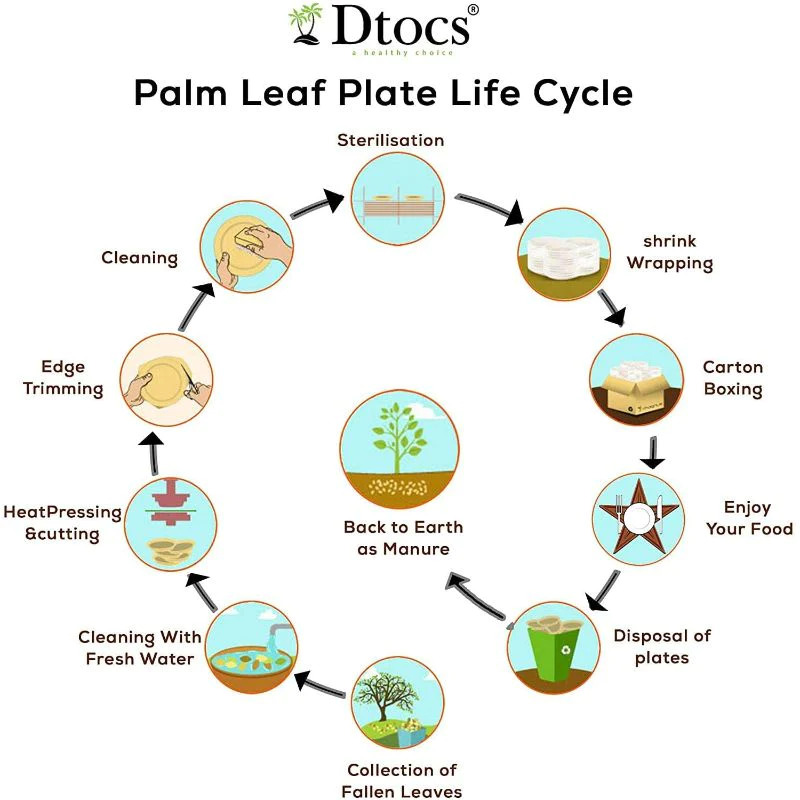 Dtocs product cycle