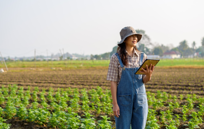 Farm business