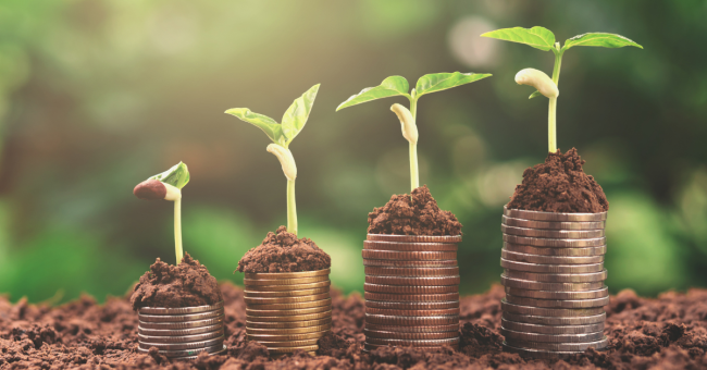 Capital growth